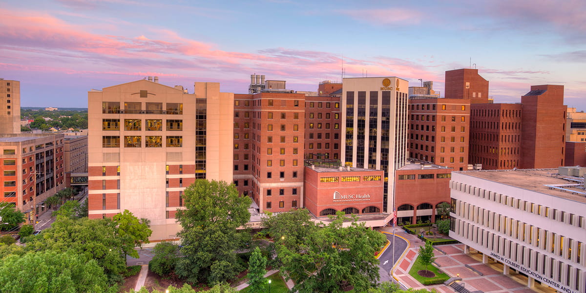 Medical University of South Carolina logo