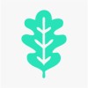 Oak3 logo