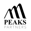 Peaks Consulting logo