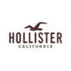 Hollister Co. logo