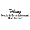 Disney Direct-to-Consumer and International logo