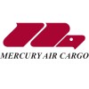 Worldwide Flight Services (Formerly AMR Services, parent company of American Airlines) logo