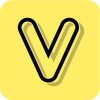 Volley logo