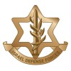 IDF - Israel Defense Forces logo