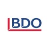 BDO Turkey logo