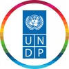 UNDP logo