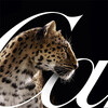 Cartier logo