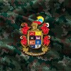 Ejercito Nacional de Colombia logo
