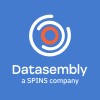 Datasembly logo