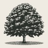 Maple Drive Talent Partners logo
