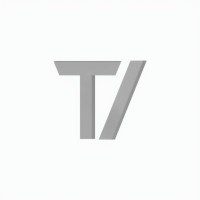 Transformative Ventures logo