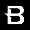 Blueberry. logo