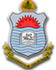 University of the Punjab logo