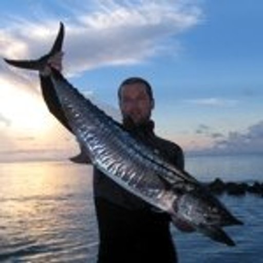 Rob Wills profile photo
