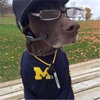 Matthew Deegan profile photo