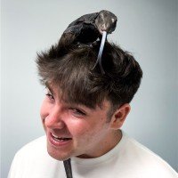 Mason Barns profile photo