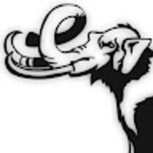 Ben M. profile photo