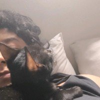 Ashley Lima Silva profile photo