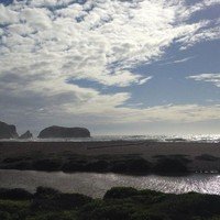 Brian Paladini profile photo