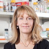 Sue Biggins profile photo