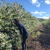 Brent Christiansen profile photo