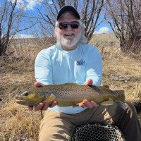 David Nau profile photo