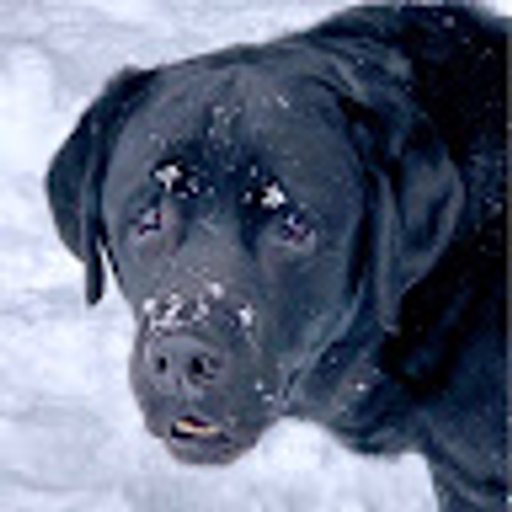 Chad Carlson profile photo